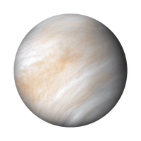 VENUS